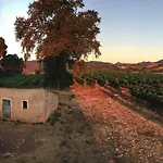 Lägenhet Tenute Pacelli - Azienda Agricola