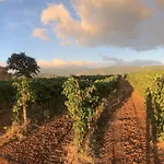 Lägenhet Tenute Pacelli - Azienda Agricola
