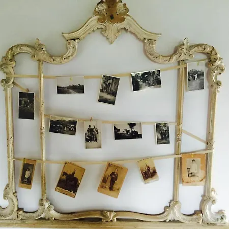 Tenute Pacelli - Azienda Agricola * Malvito