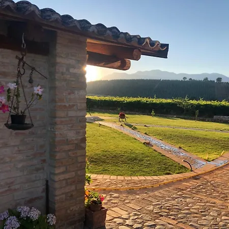 Tenute Pacelli - Azienda Agricola Apartment