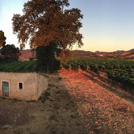 Apartament Tenute Pacelli - Azienda Agricola