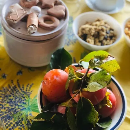 Tenute Pacelli - Azienda Agricola Malvito