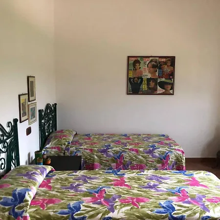 Tenute Pacelli - Azienda Agricola *