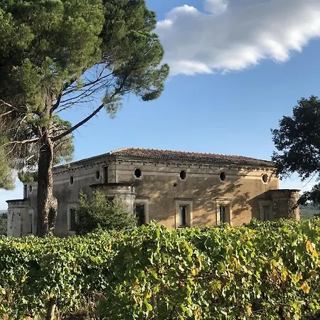 Tenute Pacelli - Azienda Agricola Malvito