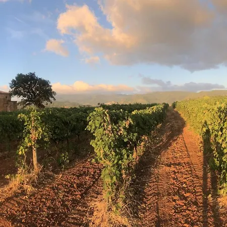 Apartament Tenute Pacelli - Azienda Agricola