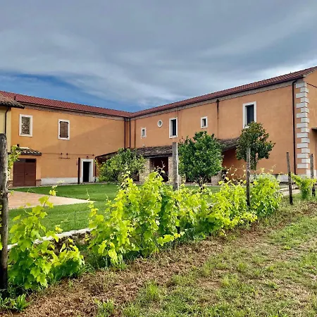 Tenute Pacelli - Azienda Agricola Malvito