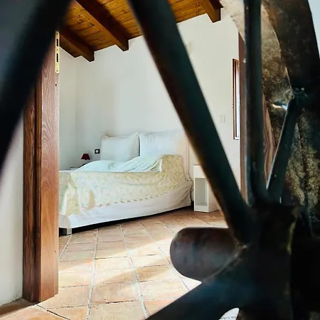 Tenute Pacelli - Azienda Agricola Apartment