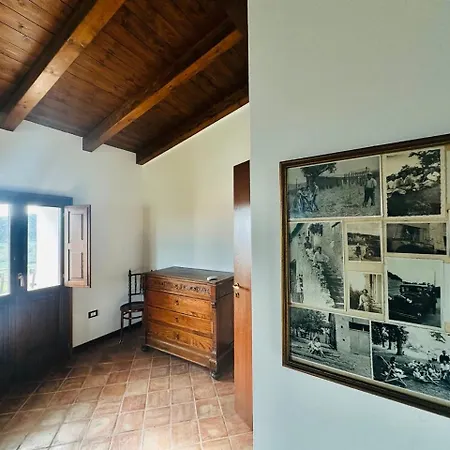 Apartment Tenute Pacelli - Azienda Agricola Malvito