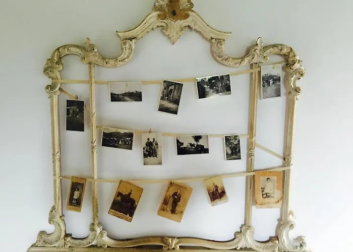 Tenute Pacelli - Azienda Agricola * Malvito