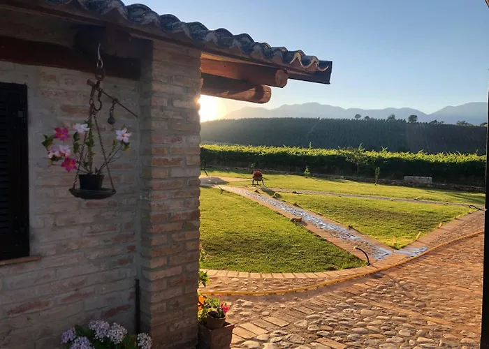 Tenute Pacelli - Azienda Agricola Lägenhet