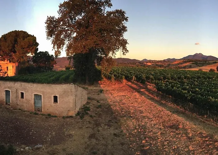 Lägenhet Tenute Pacelli - Azienda Agricola