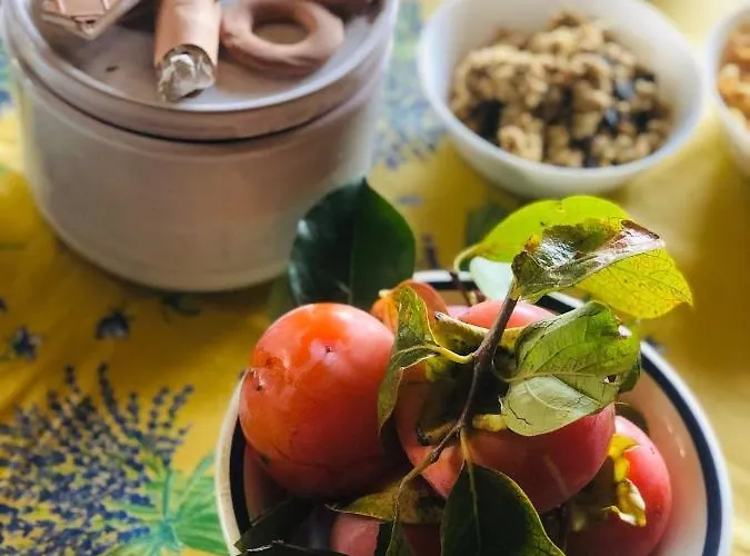 Tenute Pacelli - Azienda Agricola Malvito