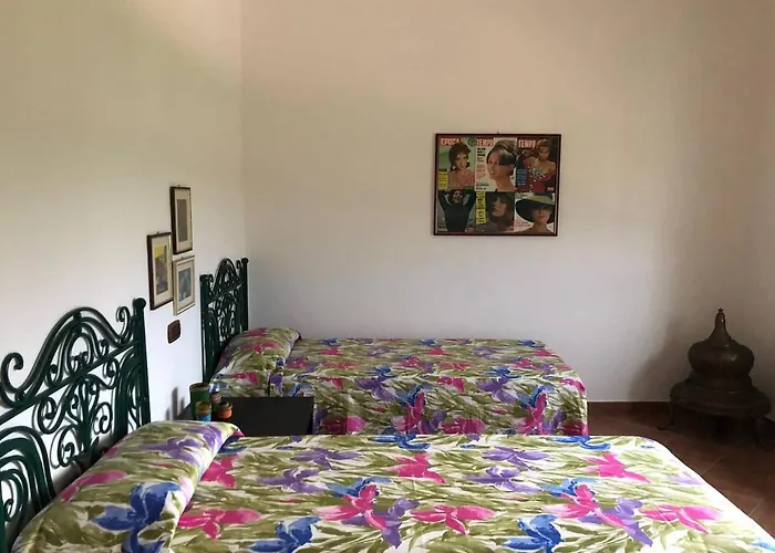 Tenute Pacelli - Azienda Agricola *