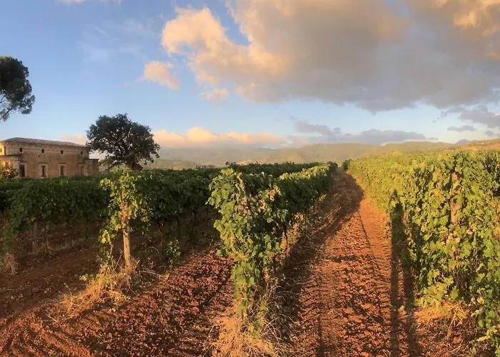 דירה Tenute Pacelli - Azienda Agricola