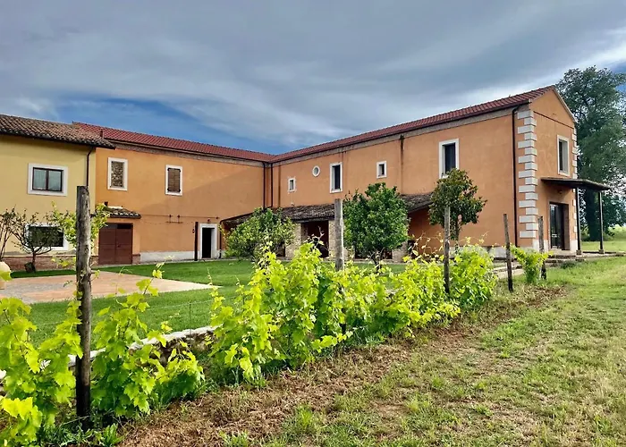 Tenute Pacelli - Azienda Agricola Malvito