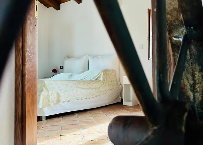 Tenute Pacelli - Azienda Agricola Lägenhet